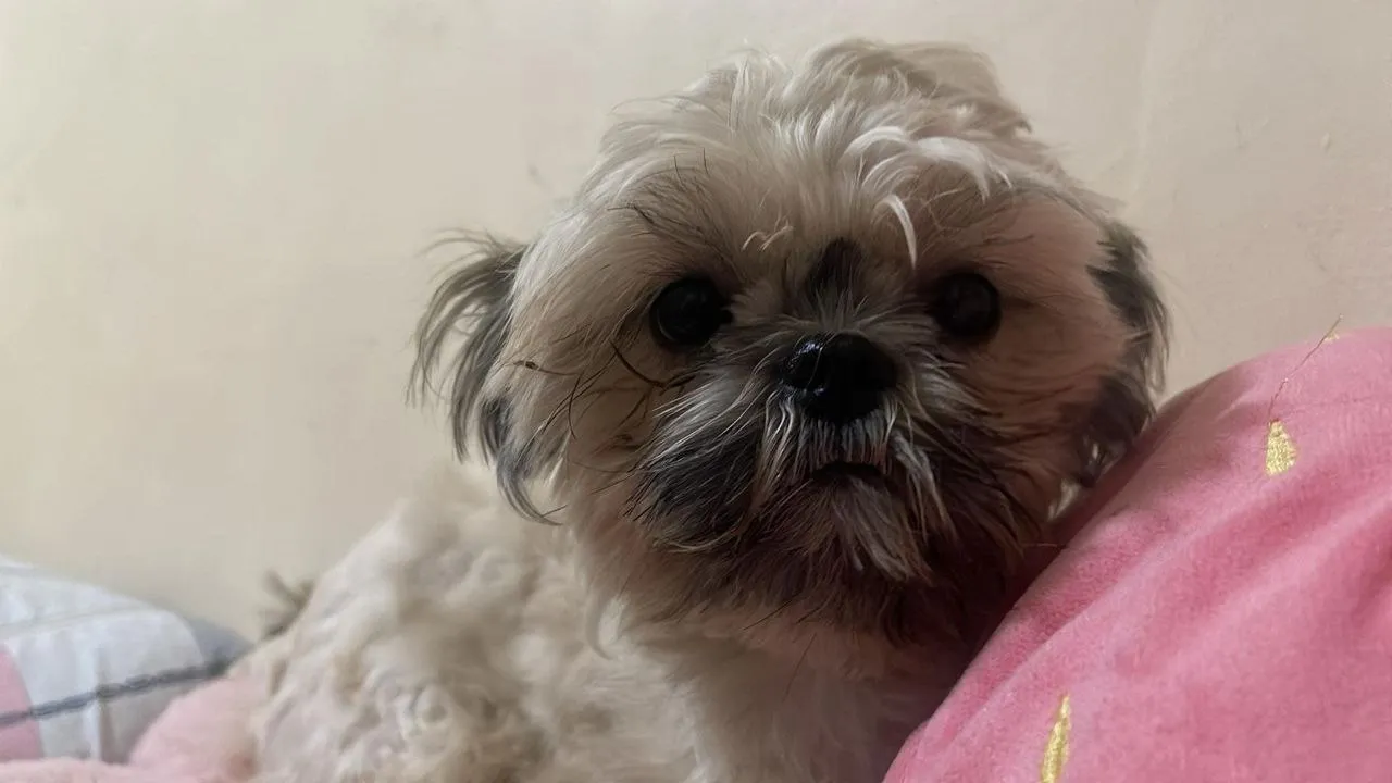 My baby girl cute cute